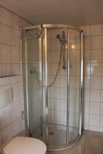 a shower with a glass door in a bathroom at Ferienwohnungen Esterer in Teisendorf