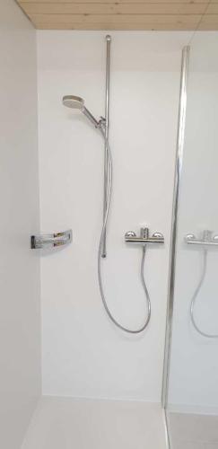 a shower with two faucets in a bathroom at Gasthof Krone in Luthern