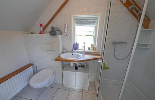 a bathroom with a toilet and a sink and a shower at Eendrachtweg 4 in De Cocksdorp