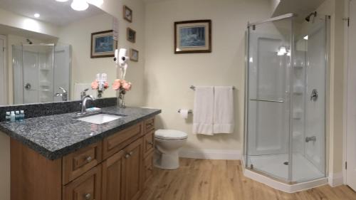 a bathroom with a shower and a sink and a toilet at Muskoka Lakes Hotel and Resorts in Port Carling