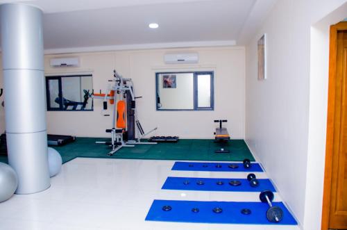 Fitness centrum a/nebo fitness zařízení v ubytování HOTEL PLATINUM