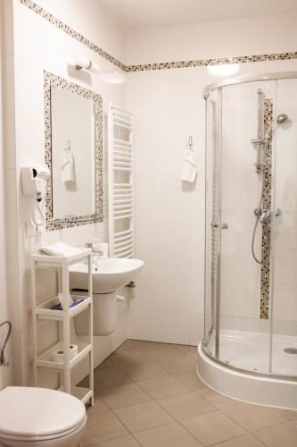 a bathroom with a shower and a toilet and a sink at Zamkowa, Pokoje Gościnne in Kazimierz Dolny