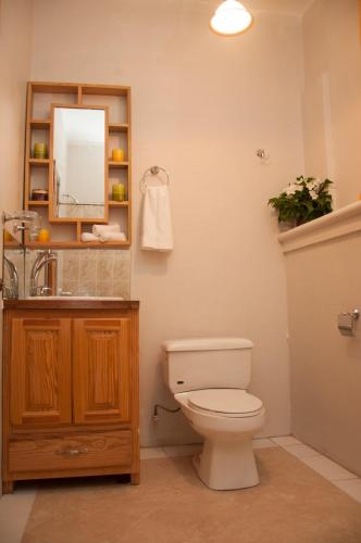 a bathroom with a toilet and a sink and a mirror at Diamond View Cottages in Roseau