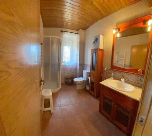 a bathroom with a sink and a toilet and a mirror at El Mirador del Bierzo in Tedejo