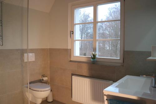a bathroom with a toilet and a sink and a window at Forsthaus Wegenerskopf in Thale