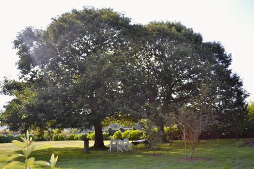 Gallery image of Los Tres Soles in Silleda
