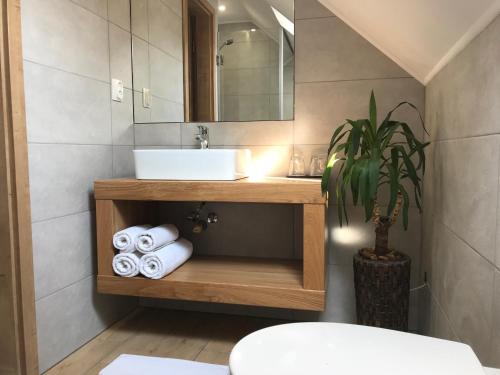 een badkamer met een wastafel en een spiegel bij Villa Mónika in Keszthely