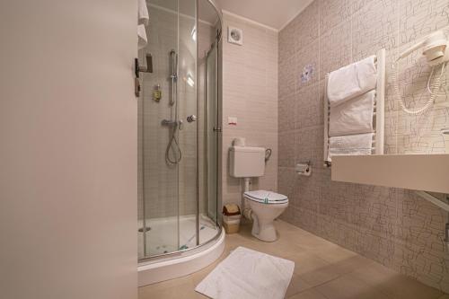 a bathroom with a shower and a toilet at Hotel Escalade in Poiana Brasov