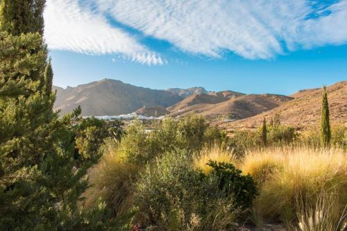 Animals are welcome: 2 beds Rural Apartment in Cortijo de ...
