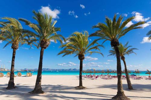 a group of palm trees on a beach at Oiza Garden at Alcudia beach with WIFI and AACC, BahiaBlanca in Alcudia