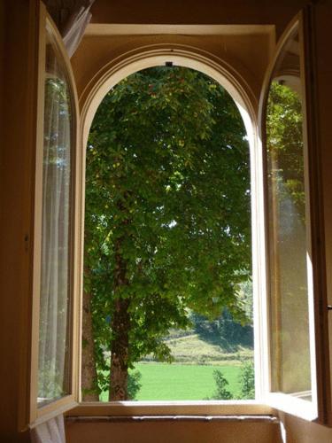 an open window with a view of a tree at La Locanda del Borgo in Pietralunga