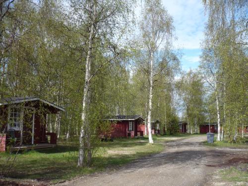 a dirt road next to a group of trees at Camping Tornio in Tornio
