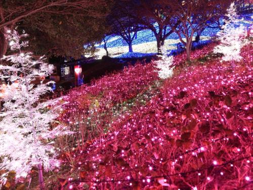 a field of christmas lights in a park at Hotel Wing International Sagamihara in Sagamihara