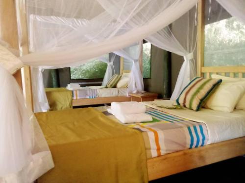 Gorilla Hills Eco-lodge في Kisoro: غرفة نوم بسريرين ومظلة