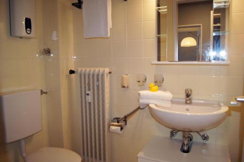 ヴィンターベルクにあるWinterberg Appartement 21090のバスルーム(洗面台、トイレ、シャワー付)
