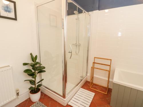 a shower stall in a bathroom with a plant at 1 Tyn Y Caeau Apartment in Menai Bridge
