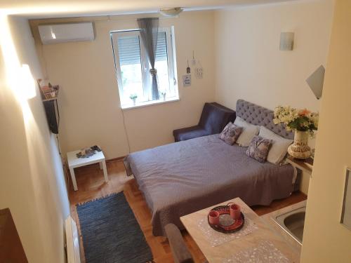 a small living room with a bed and a couch at Studio Dunja in Vrnjačka Banja