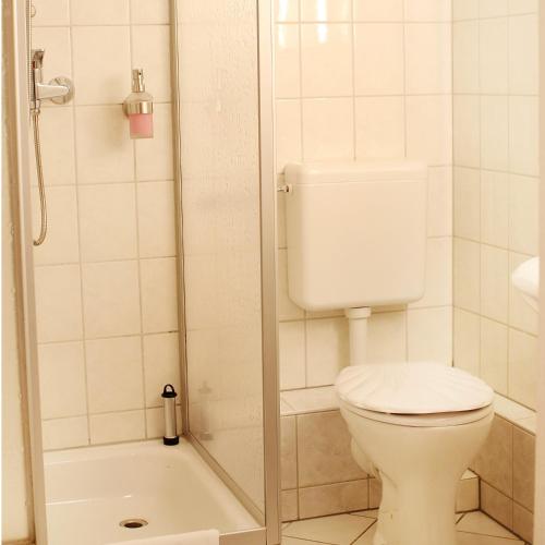 a bathroom with a toilet and a shower at Landhotel & Reiterhof Schumann in Triptis