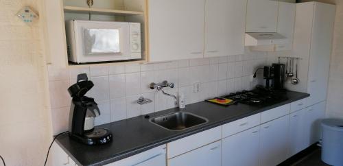 a kitchen counter with a sink and a microwave at Vakantiebungalow in het Limburgse Heuvelland in Simpelveld