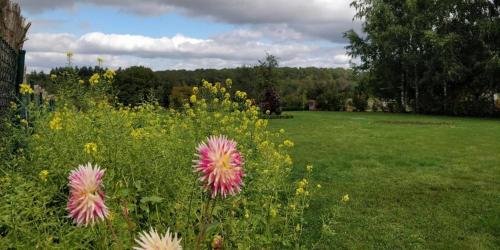 a field of grass with flowers in the foreground at Le bordon in Durnal