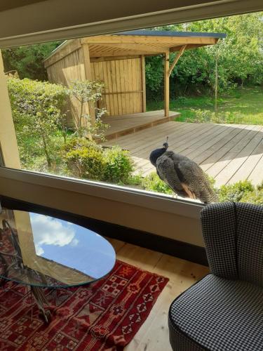 um pássaro sentado num alpendre a olhar pela janela em studio familial LE PETIT SULLY em Sully