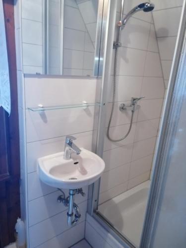 a bathroom with a sink and a shower at Waldhaus, Ski- und Wanderhütte in Breitenbrunn