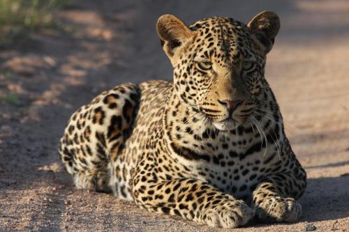 Gallery image of Tutwa Desert Lodge in Augrabies