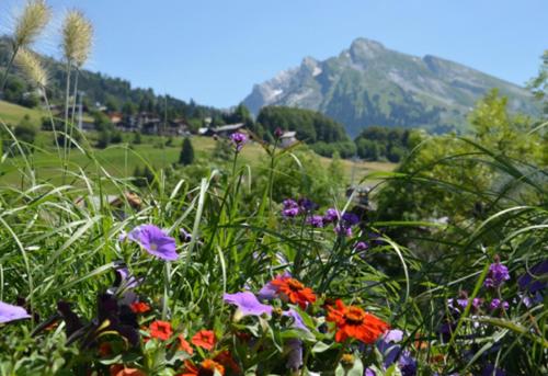 a field of flowers with a mountain in the background at Hotel Christiania in La Clusaz