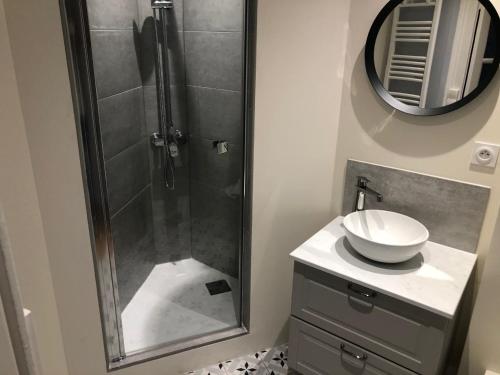 une salle de bain avec une douche, un lavabo et un miroir dans l'établissement Joli Appartement Le Gutenberg T2 4p Quartier Mirabeau Proche Gare, à Tours