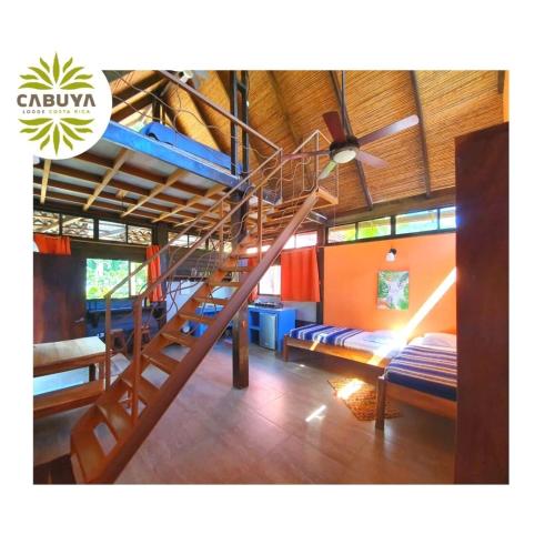 Cabuya Lodge – Photos 4