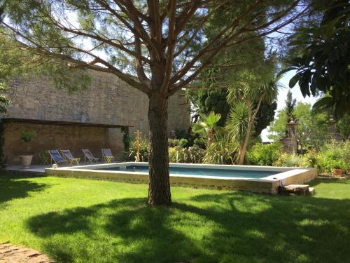 Lodge Montagnac – Photos 4