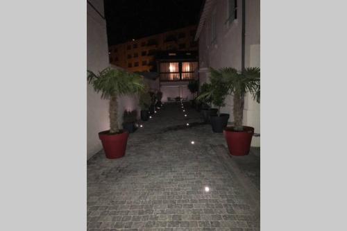 a courtyard with palm trees inront of a building at RARE PETIT COCON F1 Calme possibilité jacuzzi hammam en sus in Chamalières