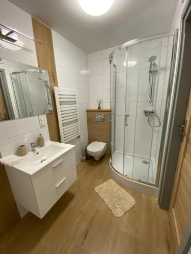 een badkamer met een douche, een wastafel en een toilet bij Studio u Beaty in Grywałd