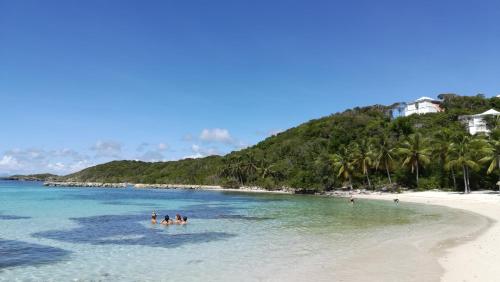 un gruppo di persone in acqua su una spiaggia di Boheme 4 personnes ( 2 chambres ) a Saint-François
