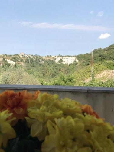 un mucchio di fiori davanti a una finestra di La Casa sul Parco a Modica