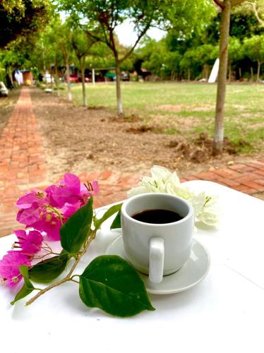 a cup of coffee and purple flowers on a table at Glamping Girardot & Hotel Puerta Del Sol Girardot in La Virginia