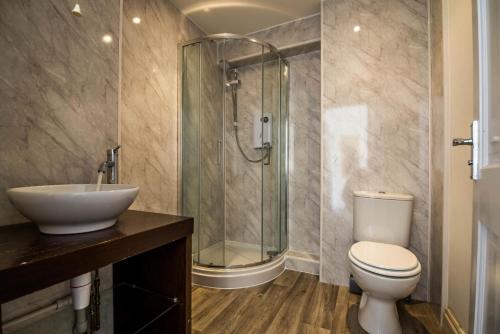 a bathroom with a shower and a toilet and a sink at Coppet Cove - 2 Bedroom Apartment - Saundersfoot in Saundersfoot