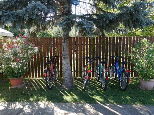 a group of bikes parked next to a fence at Holiday home in Gyenesdias - Balaton 40755 in Gyenesdiás
