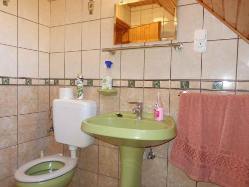 Vonios kambarys apgyvendinimo įstaigoje Holiday home in Koröshegy - Balaton 41048