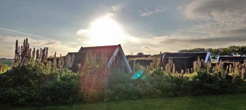 a house in a field with the sun in the background at Hotelhuisje Warmenhuizen #E in Warmenhuizen