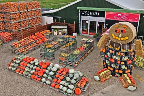 a produce market with a scarecrow in front of a store at Hotelhuisje Warmenhuizen #E in Warmenhuizen