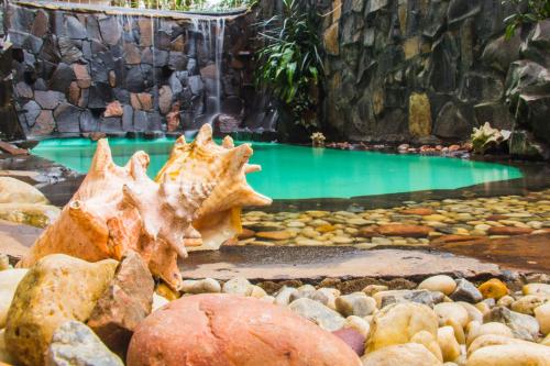 a starfish sitting on rocks in front of a swimming pool at The Host Puerto Iguazú in Puerto Iguazú