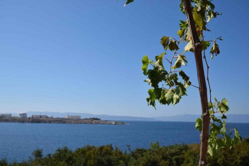 Gallery image of Apartment in Omisalj - Insel Krk 13339 in Omišalj