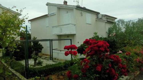 Apartment in Kukljica - Insel Ugljan 38785