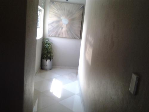 a hallway with a potted plant and a painting on the wall at Legacy Guest Lodge in Johannesburg