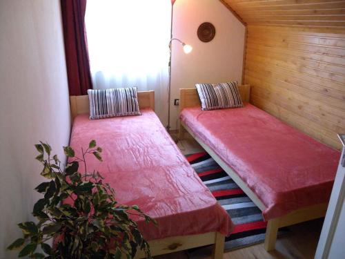 2 posti letto in una piccola camera con una pianta di Apartments in Balatonkeresztur 37924 a Balatonkeresztúr