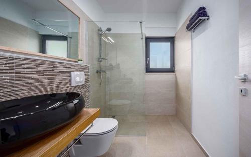 ein Bad mit einer Dusche, einem WC und einem Waschbecken in der Unterkunft Holiday Home in Mali Vareški/Istrien 37975 in Mali Vareški