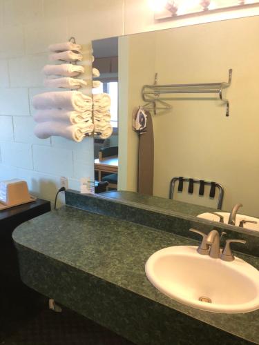a bathroom counter with a sink and a mirror at Seahorse Inn in Manhattan Beach