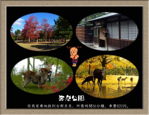 a group of four pictures of animals in a frame at Nakagawa's Cozy House in Sakai