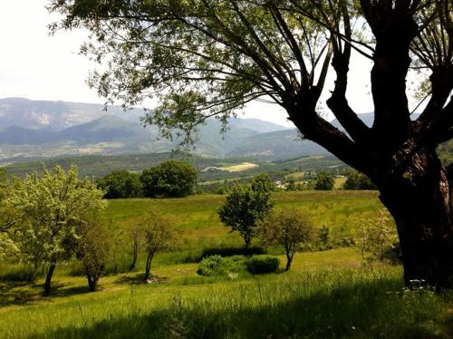 a tree in a field with mountains in the background at Weekend en Provence in Comps